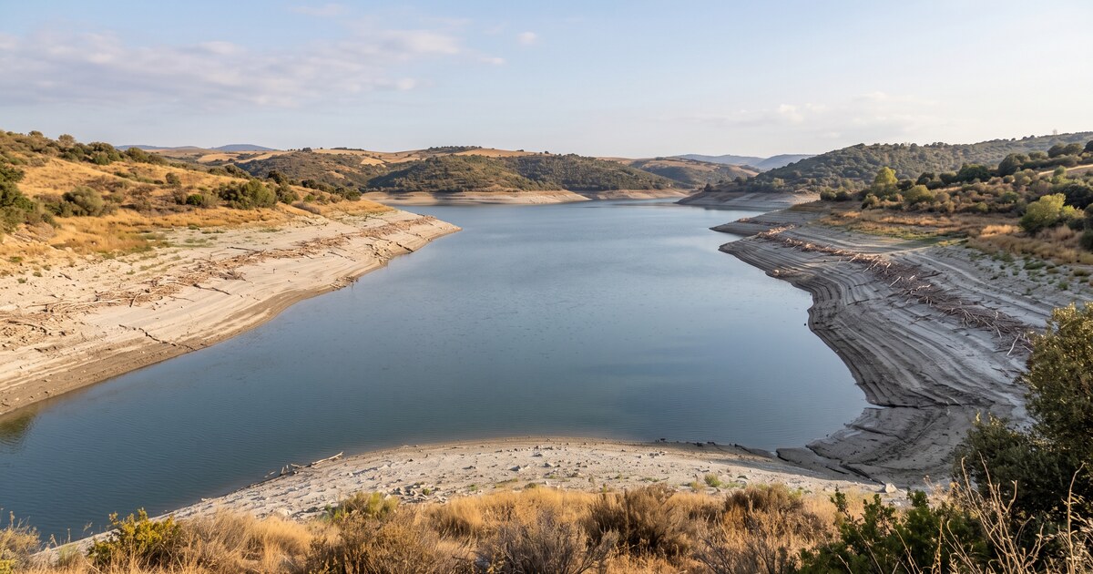 Immagine generata con IA: invaso con livello basso a fine estate e il segno della piena invernale sulle sponde.